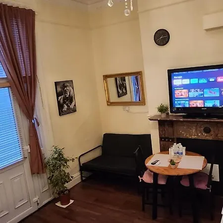 Spacious Victorian Flat *