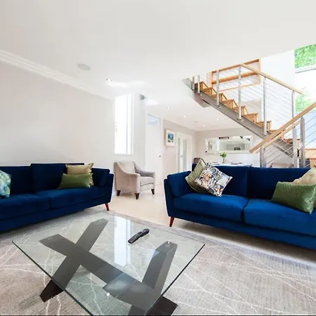 Aviva Stadium Mews - #avivamews *