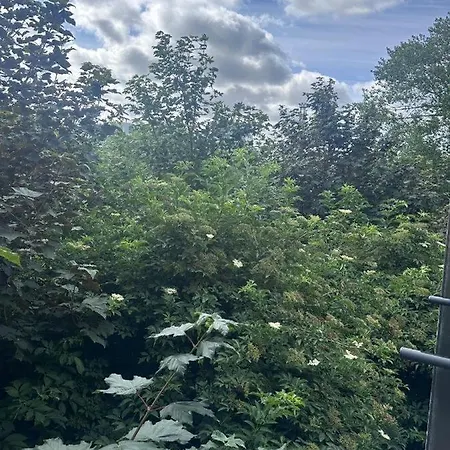 Pt Bnb * Dublin