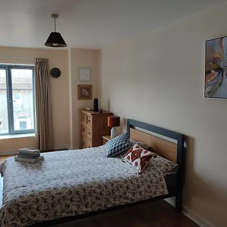 Swallows Nest - Spacious Bright Double Bedroom With Ensuite Bathroom Alloggio in famiglia Dublino