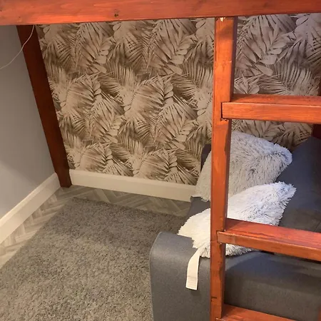 Wake Up With 2 Cats On Your Face Guest house Dublin