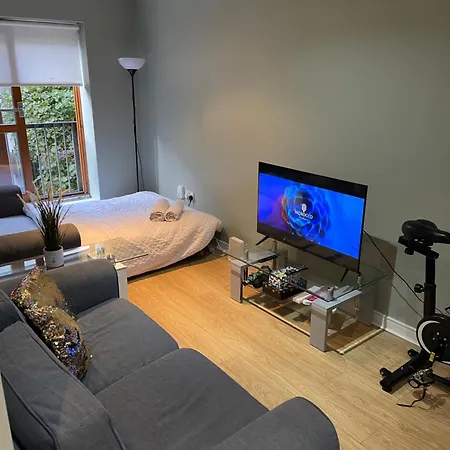 Apartment In Dublin's Tourist Spot Temple Bar Fully Renovated *