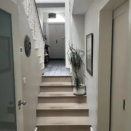 Beautiful 3 Bed House In Rathgar Short Walk To Centre