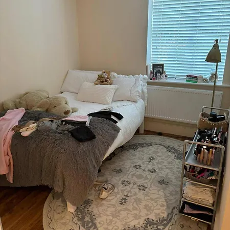 Modern 3 Bedrooms Near Dundrum * Dublin