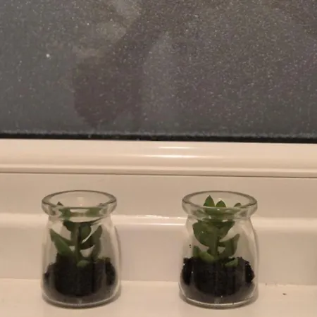Whole Private Flat - Dublin
