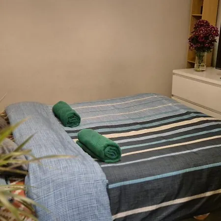 Whole Private Flat - Dublin