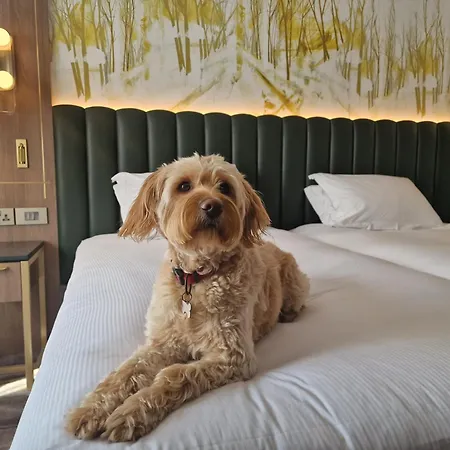 Hilton Kilmainham 4* דבלין