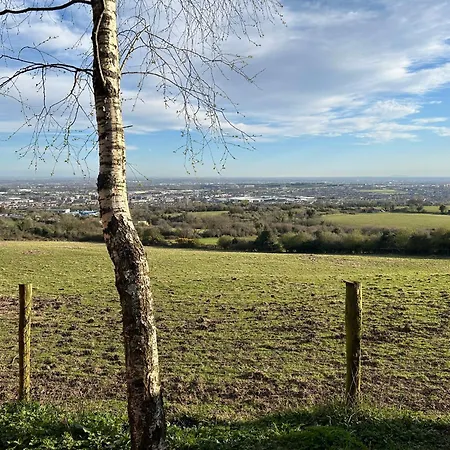 The In The Woods * Dublin