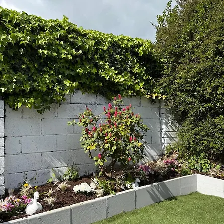 Superb Triple Near Airport - 1 * Dublin