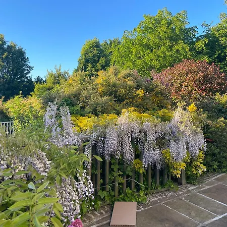 Peaceful With Garden & Creek - New Cozy Dublin