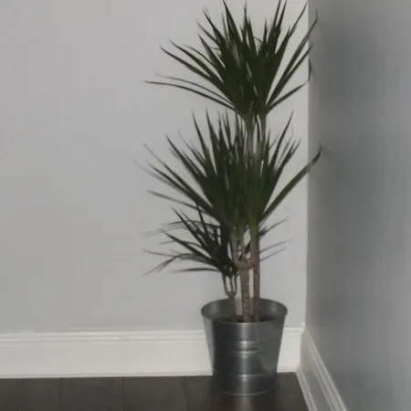 Central Dublin Apartment *