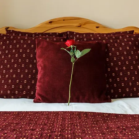 Kingfisher Serviced Apartments * Dublin