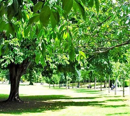 Hotel Morehampton Townhouse 3*