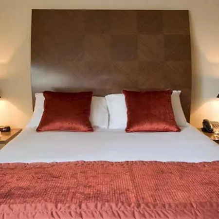 Premier Dublin Sandyford Otel