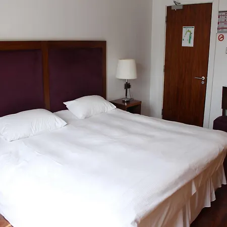 The Lombard Pub & Townhouse Otel Dublin