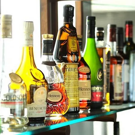 酒店 都柏林机场地铁酒店 桑特里