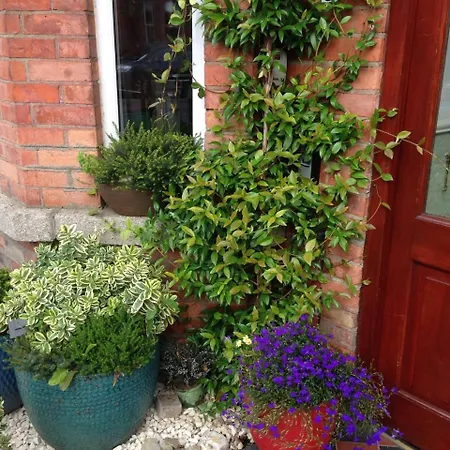Acara House B&B 3* Dublin