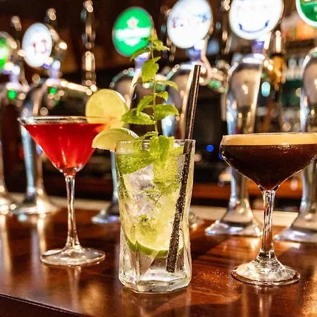 Gleesons Townhouse Booterstown Hotel Dublino