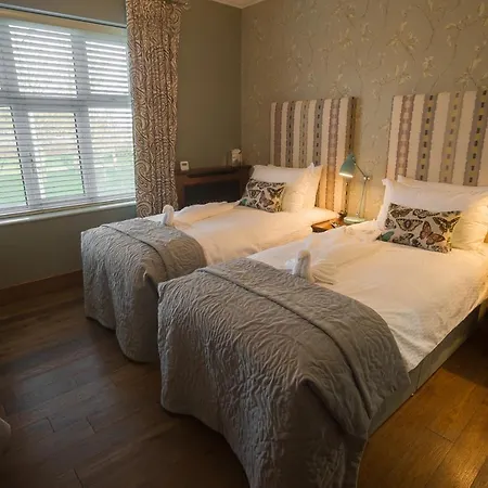 Guest house House
