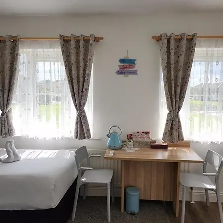 Cozy Room,private Bathroom,private Kitchynete Homestay Dublin
