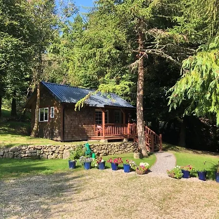Lodge Willow *