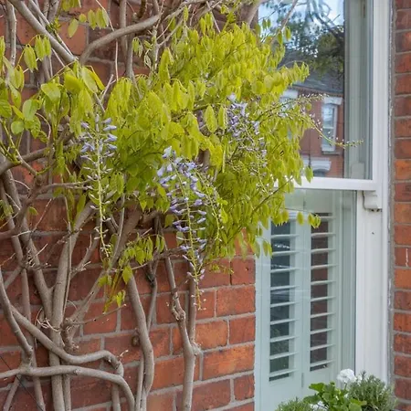 Guest house Guestready - Victorian Redbrick In Heart Of