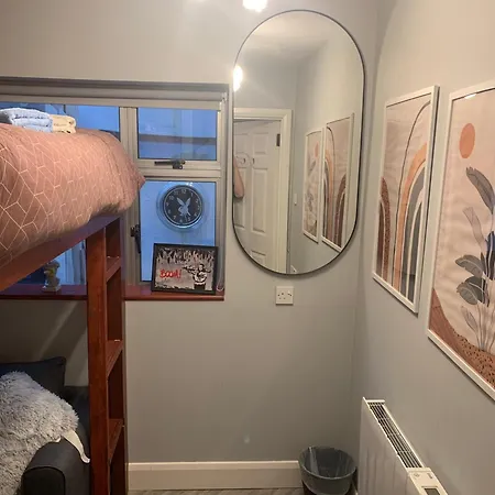 招待所 Wake Up With 2 Cats On Your Face 都柏林