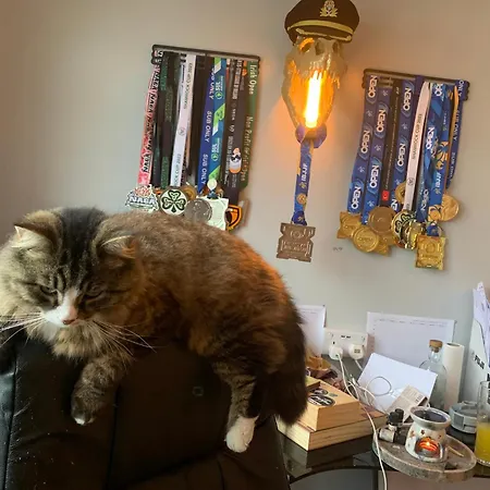 Pensionat Wake Up With 2 Cats On Your Face *