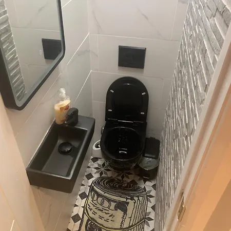 Wake Up With 2 Cats On Your Face 招待所 都柏林