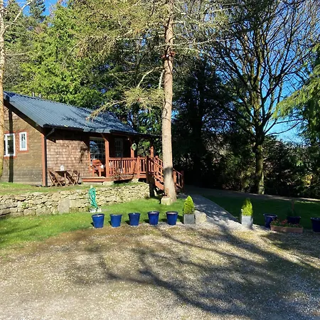 Lodge Willow