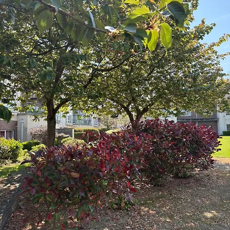 Cosy 2-bedroom Near Airport Appartement
