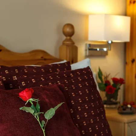 Kingfisher Serviced Apartments * Dublin