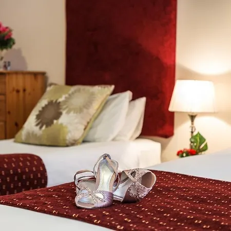 Guest house Kingfisher Townhouse Dublin