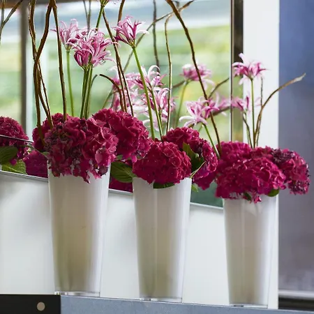 The Fitzwilliam 5* Dublin
