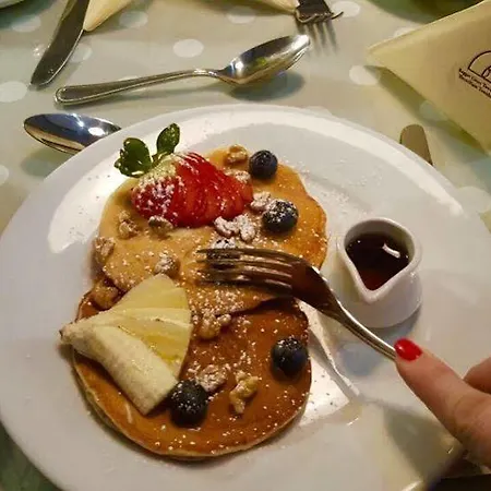 菲兹威廉姆联排别墅酒店 招待所 都柏林