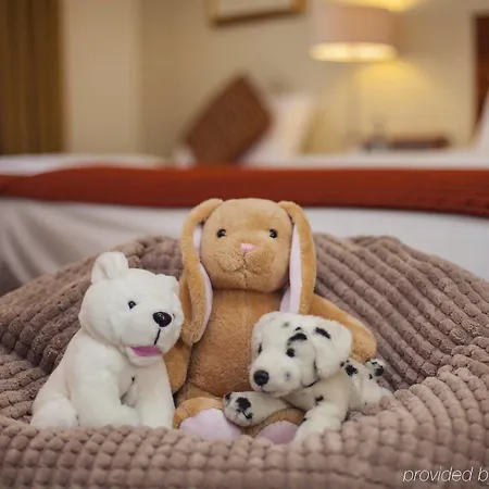 キャシディーズ 4* ダブリン