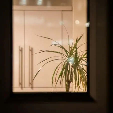 The Windmill Apartment *