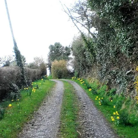 Cowslip * Dublino