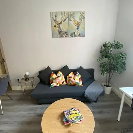 1-bed Apt In City Centre Dublin