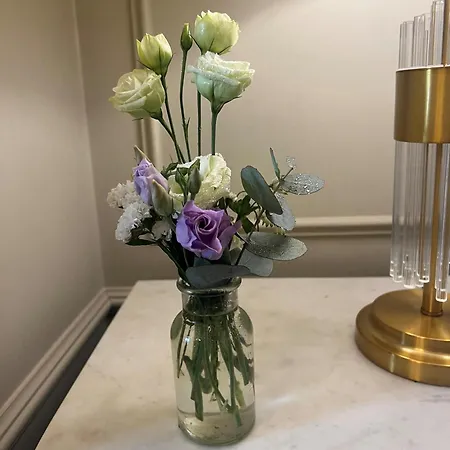 Waterloo Town House & 4* Dublín