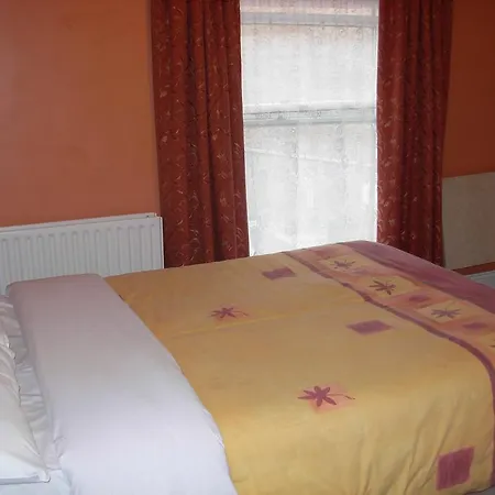 Mcelroy Budget Auberge de jeunesse Dublin