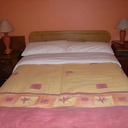 Mcelroy Budget Auberge de jeunesse Dublin